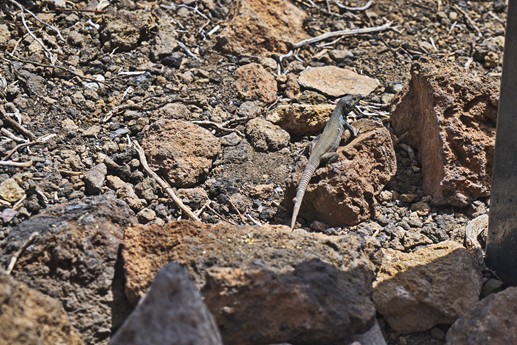 16 luglio Teide
